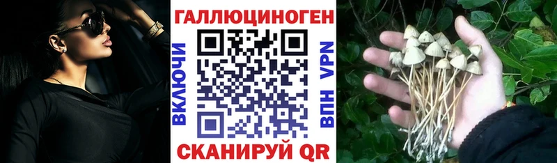 Псилоцибиновые грибы мицелий  Купить  Ельня 