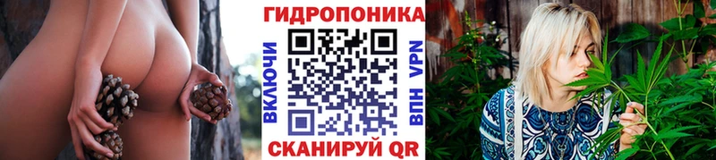 Купить закладки  Ельня  Бошки марихуана OG Kush 